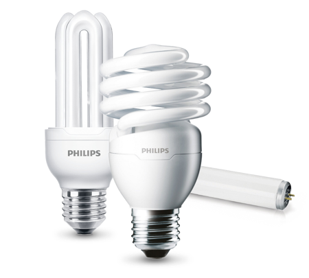 CFL BULB PHILIPS/GE 6500K & 3000K