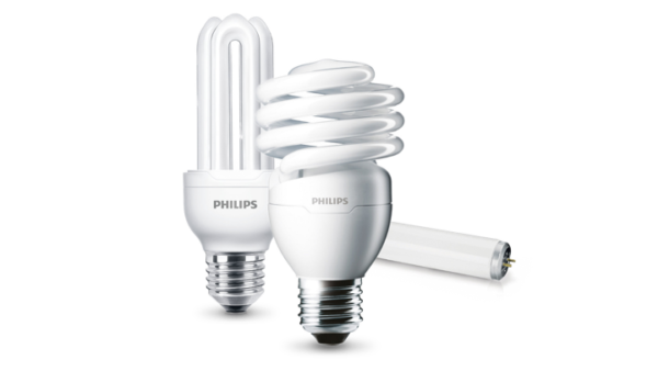 CFL BULB PHILIPS/GE 6500K & 3000K